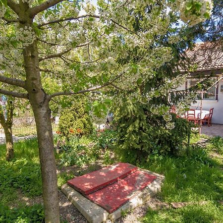 Old House Apartment Vama Veche Exterior photo