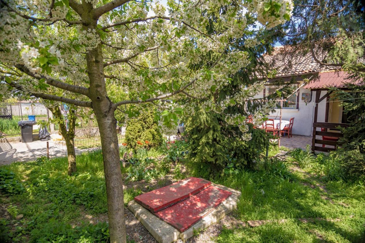 Old House Apartment Vama Veche Exterior photo